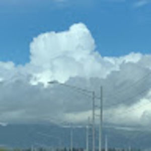 Meet your Posher, Mina